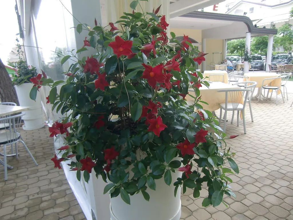 Hotel Explorer Cervia